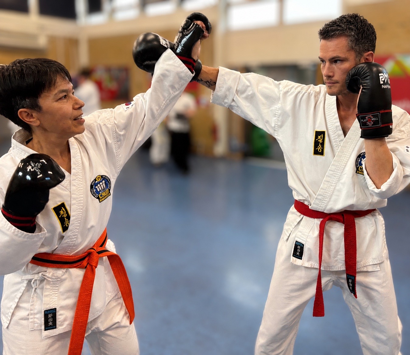 Adult martial arts students training in class